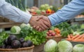 The Image Captures a Moment of Agreement or Transaction Amidst a Vibrant Selection of Vegetables. Royalty Free Stock Photo