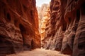 This image captures a narrow slot in the side of a canyon, revealing the fascinating geological formations within, The Siq in