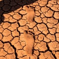 Footprints in Cracked Earth Symbolizing Drought Climate Change and Environmental Concerns Royalty Free Stock Photo