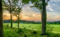 Sunset Serenity: Trees Framing a Pastoral Landscape at Dusk Royalty Free Stock Photo