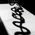 Image captures the shadow of a spiraling object on a textured Royalty Free Stock Photo
