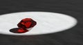 A mesmerizing deep red ruby sits under a harsh spotlight Royalty Free Stock Photo