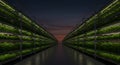 Modern vertical farming operation at twilight Royalty Free Stock Photo