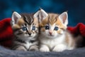 Two adorable kittens sitting on a soft red blanket looking at the camera Royalty Free Stock Photo