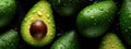 Close-Up of Fresh Avocados With Water Droplets on a Dark Surface Royalty Free Stock Photo