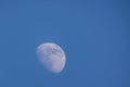 Waxing Gibbous Moon Against the Clear Blue Daytime Sky Royalty Free Stock Photo