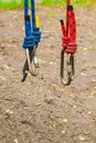 Image of a carabine hooks with blue and red climbing ropes hanging down. Shackles attached to lines