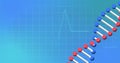 Image of cardiograph and dna strand on blue background