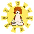 Image of a cartoon funny dog beagle sitting on lotus position of yoga