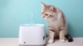 image of cat drink pet smart water generative AI