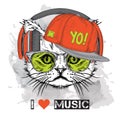 The image of the cat in the glasses, headphones and in hip-hop hat. Vector illustration.