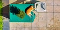 Cat lying on a table, sunbathing on a terrace, from an aerial view. Concept of tranquility, relaxation and beauty