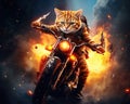 Cat rider on motorcycle is riding with fire. Royalty Free Stock Photo