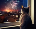 The dog cat is watching fireworks through a window. Royalty Free Stock Photo