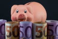 Image of ceramic piggy bank with a funny pig figure resting its head on euro