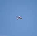 Cessna plane flying upside down Royalty Free Stock Photo