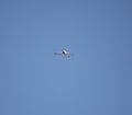 Cessna plane flying upside down