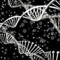 Image of chain dna on a black background closeup Royalty Free Stock Photo