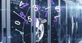Image of changing numbers, connections, net and lights over servers Royalty Free Stock Photo