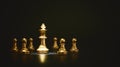 Image of chess game. Business, competition, strategy, leadership, and success concept Royalty Free Stock Photo