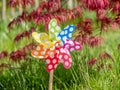 Image of childish colorful pinwheel against green garden Royalty Free Stock Photo