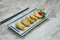 Image of chopsticks and assorted Japanese Gyoza dumplings served on a white plate