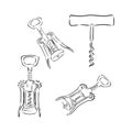 Image of classic corkscrew. Doodle style. corkscrew vector sketch illustration