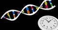 Image of clock moving over dna strand on black background