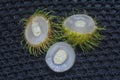 Close shot of the yellow nephelium lappaceum fruits. Royalty Free Stock Photo