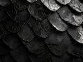 The image is a close up of a black and white patterned surface Royalty Free Stock Photo