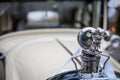 Vintage Elegance: Classic Car Mascot and Hood