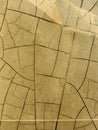 The image is a close up of a cracked and broken tile Royalty Free Stock Photo