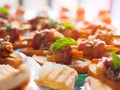 The image of Delicious canapes, bacon snacks and appetizing snacks set on the table