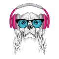 The image of Cocker Spaniel in the glasses, headphones and in hip-hop hat. Vector illustration.