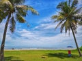 Coconut trees in the Tanjung Aru Beach, Kota Kinabalu with the beautiful blue sky above on sunny day. Royalty Free Stock Photo