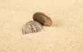 Image of coin sand background Royalty Free Stock Photo