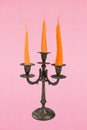 Image collage composition of candle holder with fire flame carrots isolated on pastel pink color background Royalty Free Stock Photo