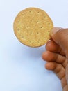 Image of a collection of biscuits, whole grain biscuits isolated on a white background