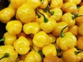 Colorful Yellow Habanero Chilies, Farmer`s Market