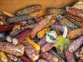 Image of colorful corn close up view