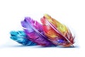 Image of colorful feathers on white background. Bird. Wildlife Animals. Illustration. Generative AI Royalty Free Stock Photo
