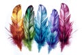 Image of colorful feathers on white background. Bird. Wildlife Animals. Illustration. Generative AI Royalty Free Stock Photo