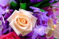 The image of colorful rose flower bouquet with blur background Royalty Free Stock Photo