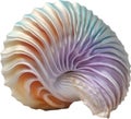 an image of a colorful seashell. Ai-Generated