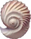 an image of a colorful seashell. Ai-Generated