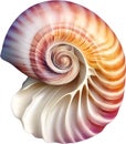 an image of a colorful seashell. Ai-Generated