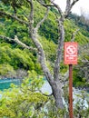 Image of a colourful No-fly zone sign - drone fly forbidden - sign in National Park among nature and trees