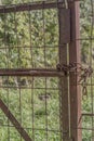 Image of a completely rusted metal gate with green vegetation background