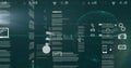 Image of computer icons and programming language moving over globe Royalty Free Stock Photo
