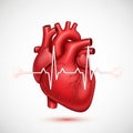 This image conceptually represents cardiovascular function and health Royalty Free Stock Photo